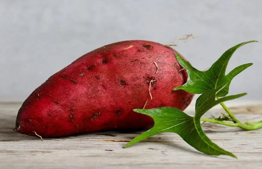 Sweet Potatoes